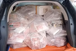 Tổ kiểm soát cơ động phát hiện xe ô tô chở hơn 300kg thực phẩm đông lạnh không rõ nguồn gốc