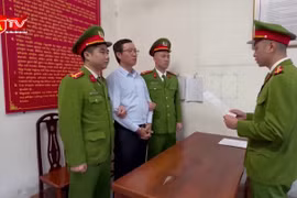 Bắt nguyên Tổng giám đốc Công ty xi măng Hạ Long