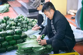 Bánh chưng Tranh Khúc tất bật phục vụ Tết
