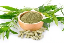 Người dân Thái Lan săn lùng xuyên tâm liên chữa Covid-19