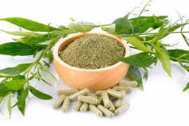 Người dân Thái Lan săn lùng xuyên tâm liên chữa Covid-19