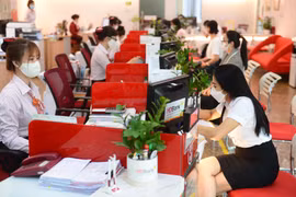 HDBank và Proparco dành 50 triệu USD phát triển các dự án xanh tại Việt Nam