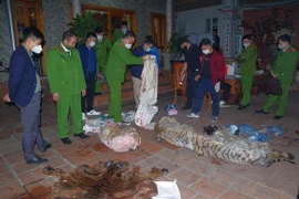 Tạm giữ hình sự Chủ tịch xã vì mổ hổ nấu cao