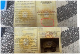 Liên tiếp phát hiện lái xe sử dụng giấy chứng nhận, tem kiểm định giả