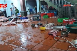 Kiểm tra phát hiện cơ sở giết mổ lợn nhiễm dịch tả châu Phi