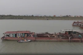 Phát hiện đường dây khai thác cát trái phép trên tuyến sông Chu 