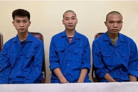 Tuần tra kiểm soát bắt ổ nhóm gây ra 7 vụ trộm xe máy liên tỉnh