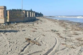 Thái Bình: Phát hiện thi thể người đàn ông không đầu ở bờ biển Cồn Vành