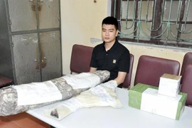 Bắt giữ đối tượng tàng trữ 2 khẩu súng và gần 900 viên đạn 