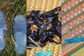 Truy tìm tung tích cụ bà tử vong ở cánh đồng Rắn