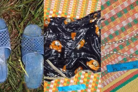 Truy tìm tung tích cụ bà tử vong ở cánh đồng Rắn