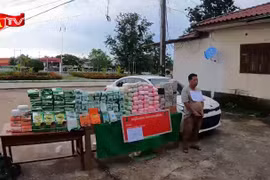 Bắt giữ đối tượng người nước ngoài vận chuyển trên 200kg ma túy