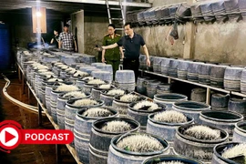 Điểm tin Podcast ngày 28/05/2025: Lật tẩy công nghệ dùng hóa chất để sản xuất 350 tấn giá đỗ 