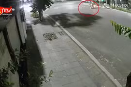 Bắt giữ nhóm 'quái xế' tông tử vong cô gái dừng đèn đỏ ở Hà Nội