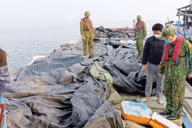 Chặn 20 tấn nội tạng không nguồn gốc suýt tuồn vào Việt Nam