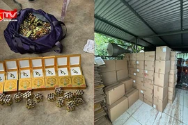 Triệt phá đường dây đa cấp quy mô lớn hoạt động xuyên quốc gia