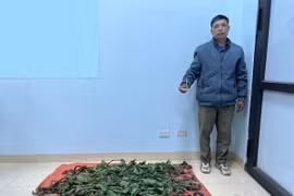 Bắt tạm giam đối tượng sản xuất ma túy