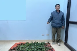 Bắt tạm giam đối tượng sản xuất ma túy