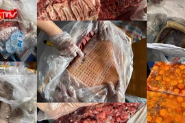 Truy dấu "đường đi" của xe container chở hơn 20 tấn nội tạng động vật không rõ nguồn gốc