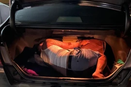 Trốn trong cốp xe ô tô để "thông" chốt kiểm dịch