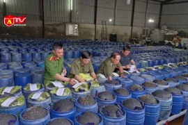 Bắt 4 đối tượng sản xuất 3.500 tấn giá đỗ ngâm hóa chất