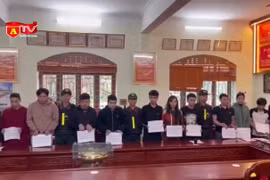 Lừa bán ô tô thanh lý hải quan để chiếm đoạt tài sản