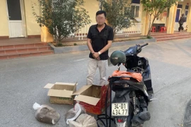 Trên đường vận chuyển động vật hoang dã đi tiêu thụ thì bị bắt