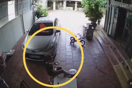 Phản xạ nhanh, người phụ nữ may mắn thoát nạn