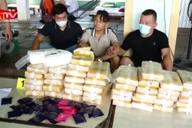 Bắt 2 đối tượng mang theo súng, vận chuyển 26kg ma túy