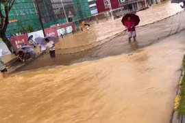 Người dân Trung Quốc thả lưới bắt cá trên đường phố