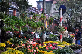 Tìm lại nét xưa trong chợ phiên Hà Nội