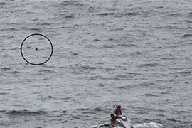 Bãi biển ở Australia đóng cửa vì cá mập trắng