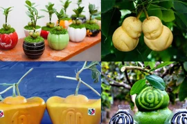 Bỏ tiền tỷ để săn hàng độc chơi Tết