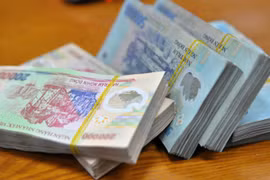 Đời thế mà tươi!