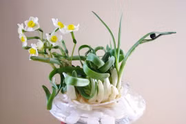 Thú chơi hoa thủy tiên