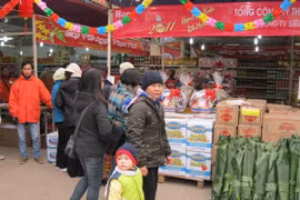 Sẽ có nhiều điểm “chợ Tết”