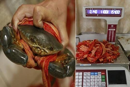 Trung Quốc: "Cắt cổ" khách bằng dây buộc cua dài 31 mét