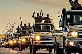 Mỹ điều tra việc IS có quá nhiều xe SUV và bán tải Toyota