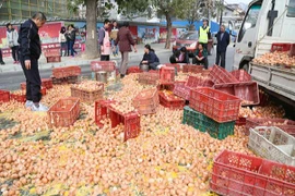 Xe tải lật khiến góc phố tráng một lớp trứng dày