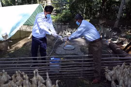 Nỗi lo lây cúm gia cầm từ Trung Quốc