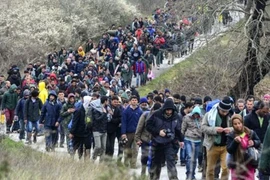 EU còn đau đầu vì người tị nạn