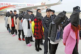  Trung Quốc: Bắt nhóm lừa đảo giáo sư đại học Thanh Hoa