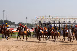 Đặt cược là hoạt động kinh doanh có điều kiện