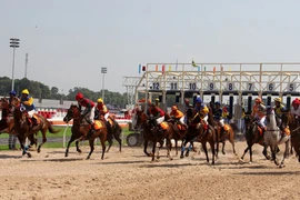 Đặt cược là hoạt động kinh doanh có điều kiện