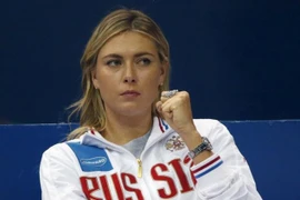 Sharapova lỗi hẹn với Qatar mở rộng