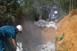 Tiêu hủy ổ gia cầm bị nhiễm cúm A- H5N6.