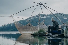 Đen Vâu lại được cư dân mạng réo tên, cho là đoán "trúng tủ" đề Văn 2022