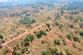 Bị phản đối vì làm phim không giống với nguyên mẫu, nhà sản xuất "Em và Trịnh" nói gì?