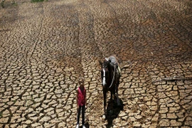 Đâu là đợt hạn hán kỷ lục trong vòng 900 năm qua tại Trung Đông?