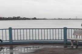 Một người đàn ông bỏ lại xe máy, nhảy sông Tiền tự vẫn